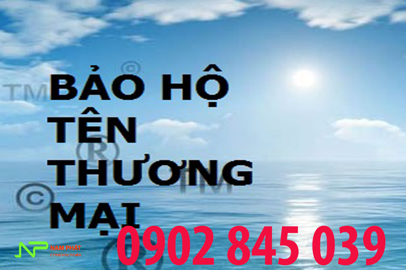Đăng Ký Bảo Hộ Logo 11 Bảo Hộ Logo