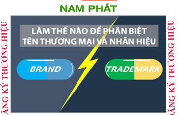Nhãn hiệu là gì? Phân biệt giữa nhãn hiệu và tên thương mại? 14 phan biet ten thuong hieu va nhan hieu